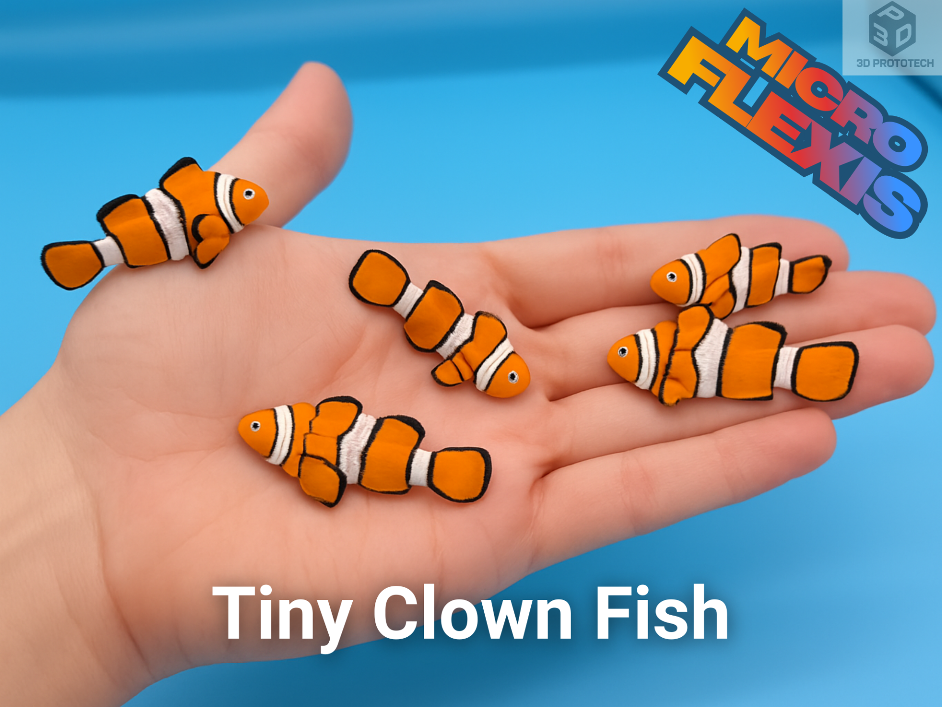 Tiny Clown Fish