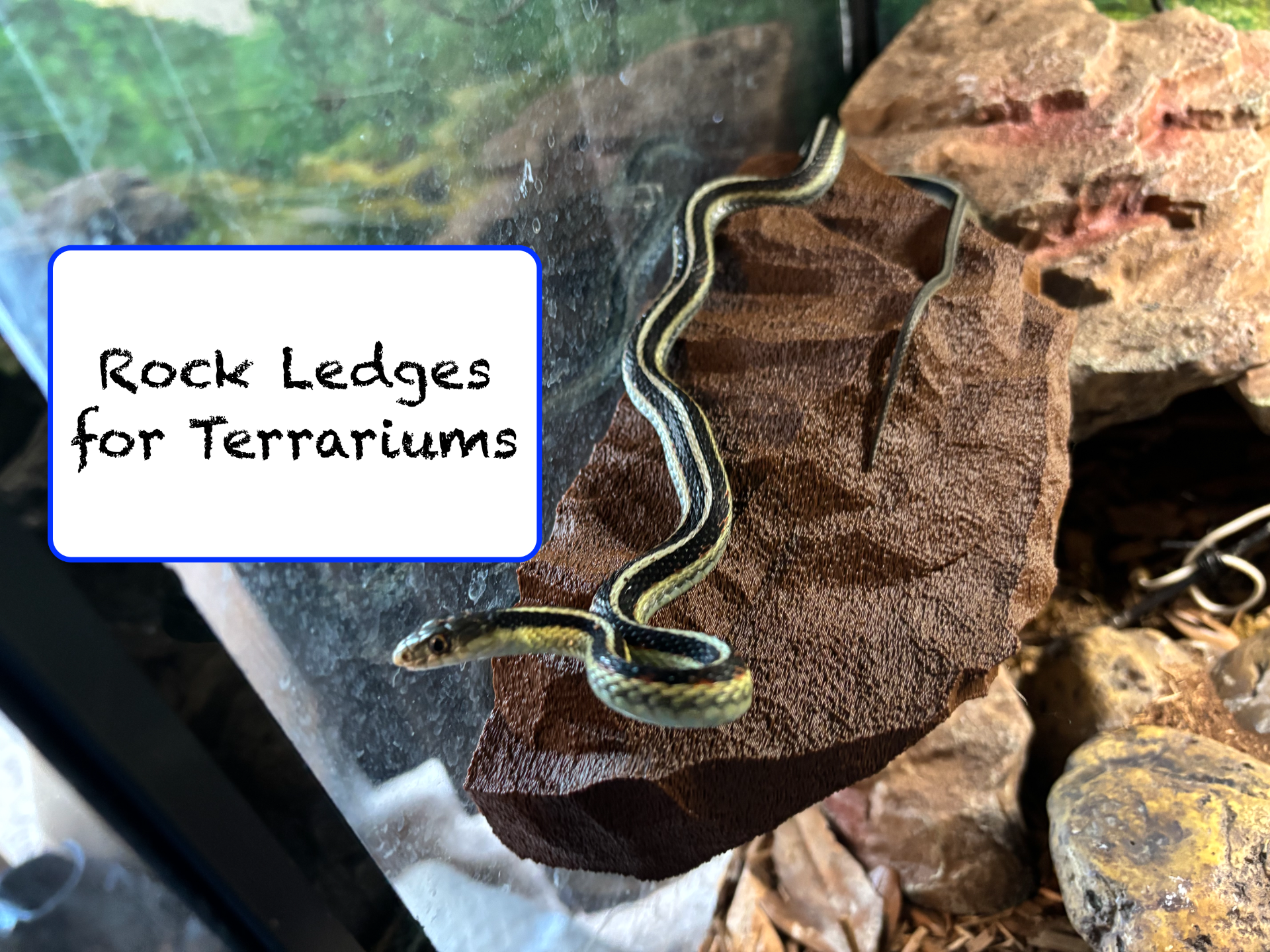 Large Magnetic Rock Ledge for Terrarium