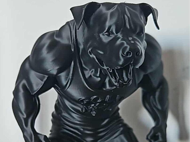 Body-builder Dog