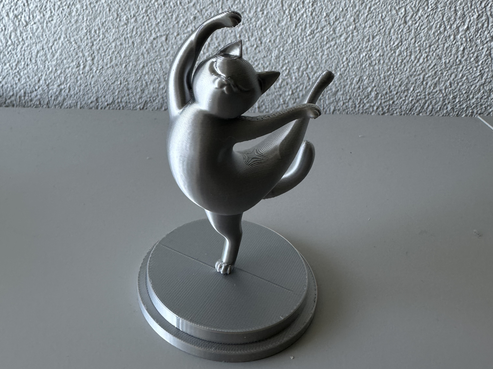 Ballet Cat