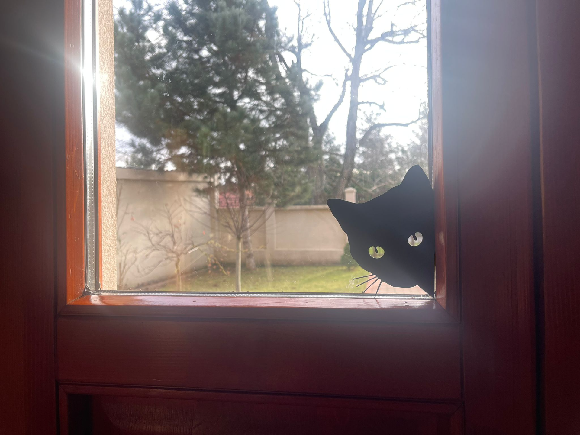 Cat Peeking Window Decoration