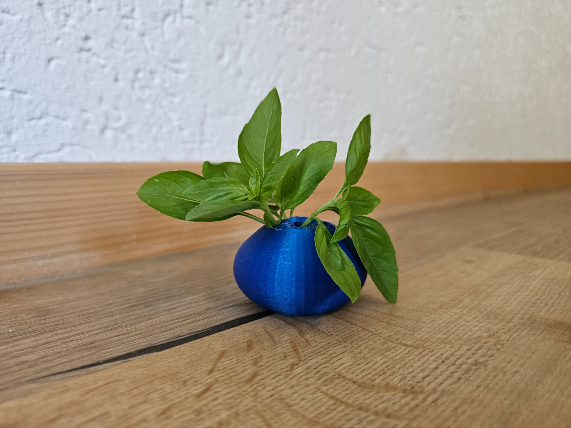 Daisy / Herb Vase (Gänseblümchenvase)
