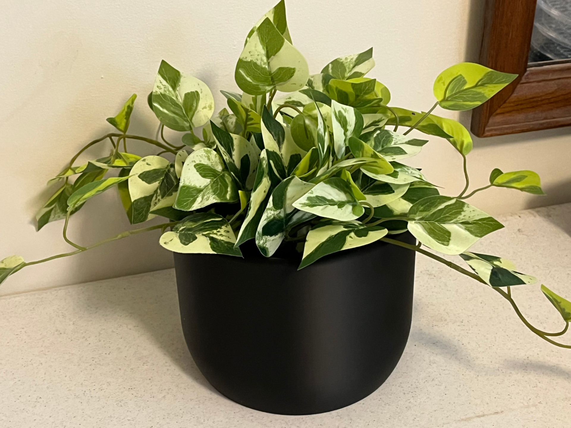 Minimalist Planter