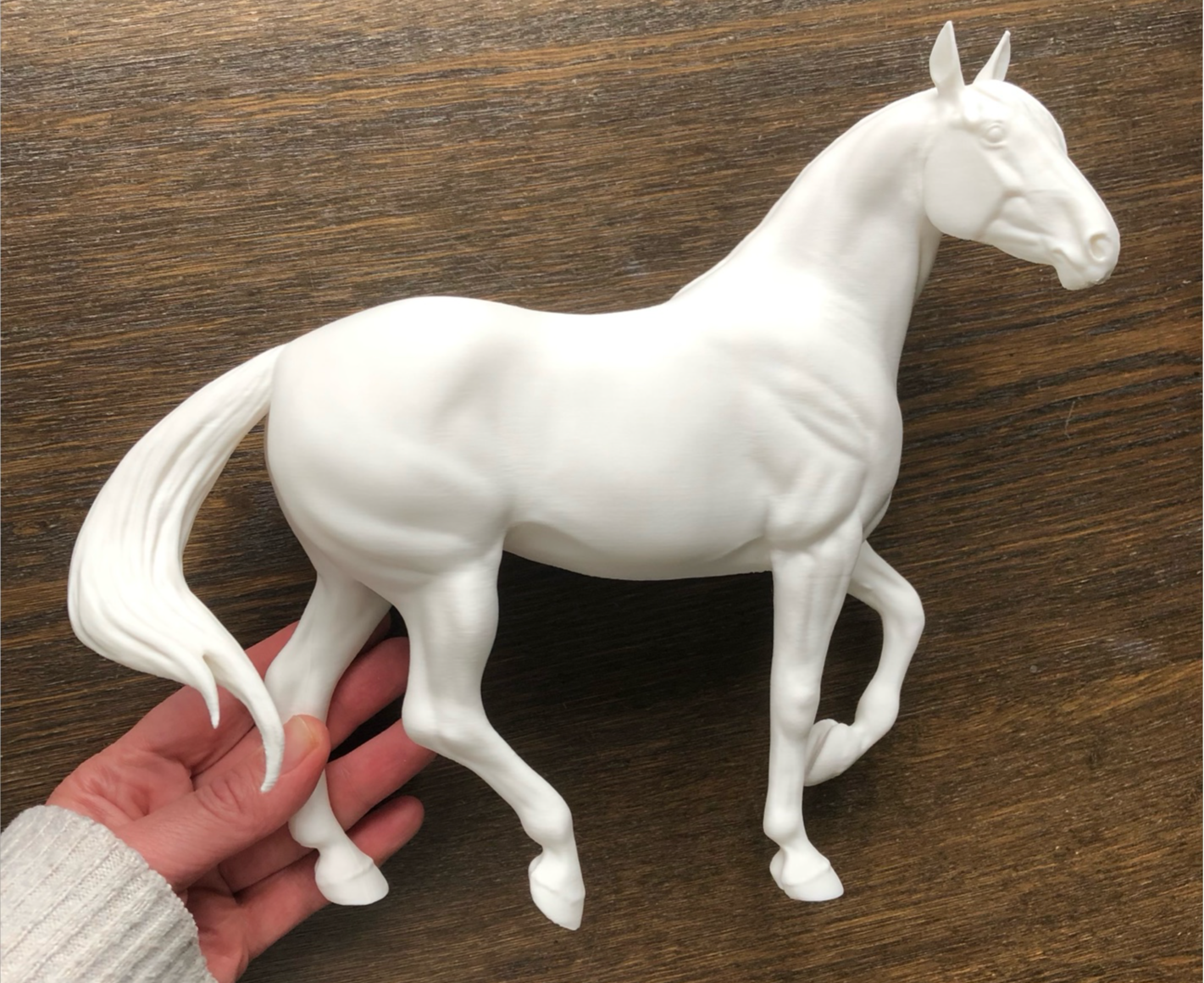 Spanish mare aka August Queen