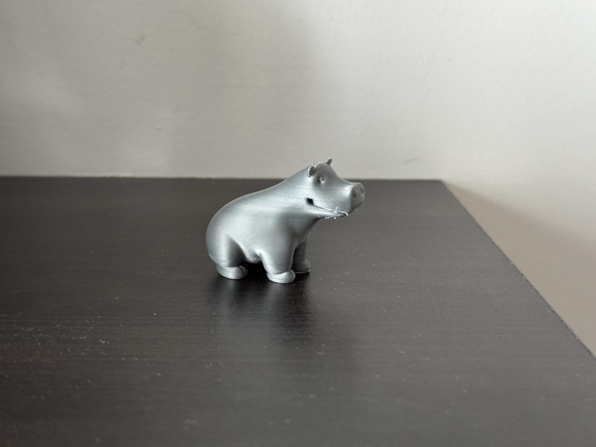 Cute Hippopotamus
