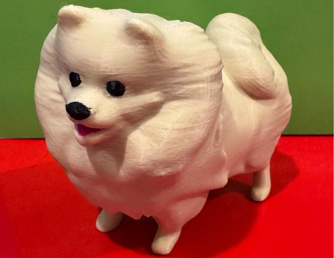 Pomeranian Small Dog