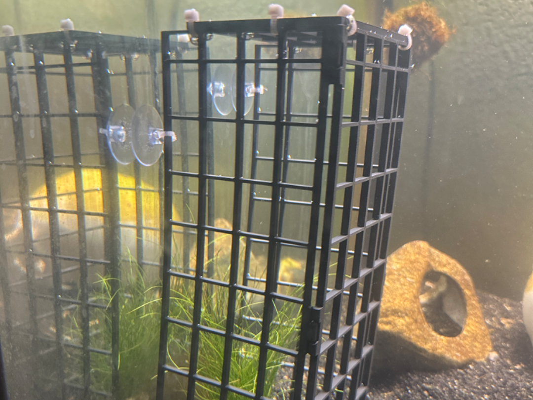Aquatic Plant Cages