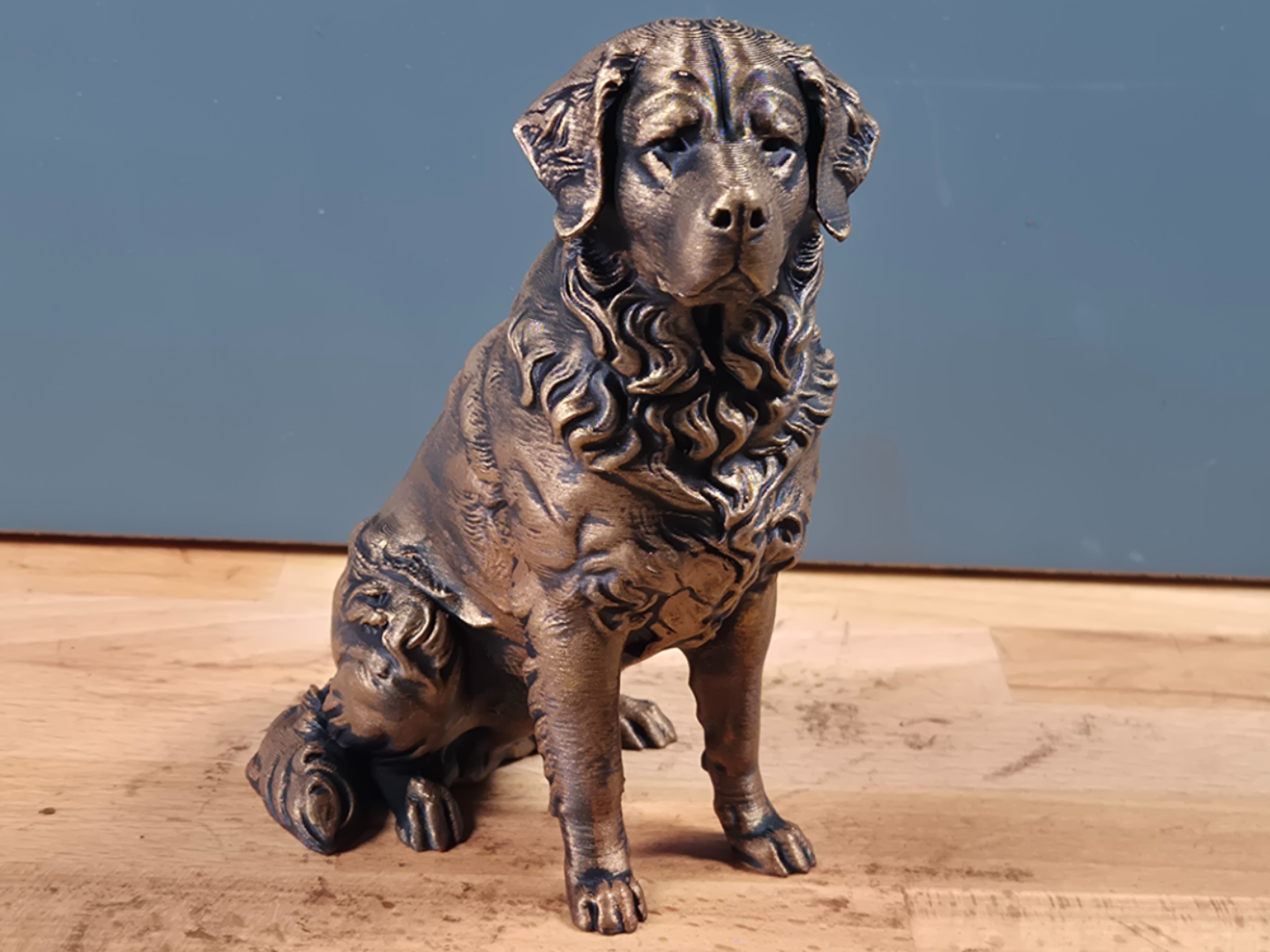 Burmese Mountain Dog 3D Model