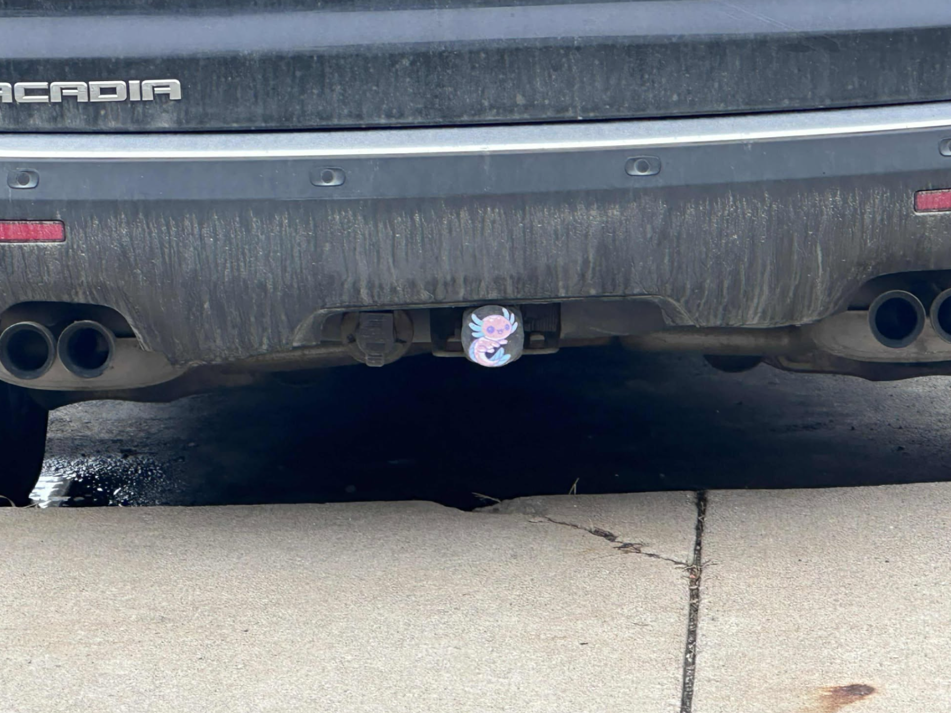 axolotl trailer hitch cover