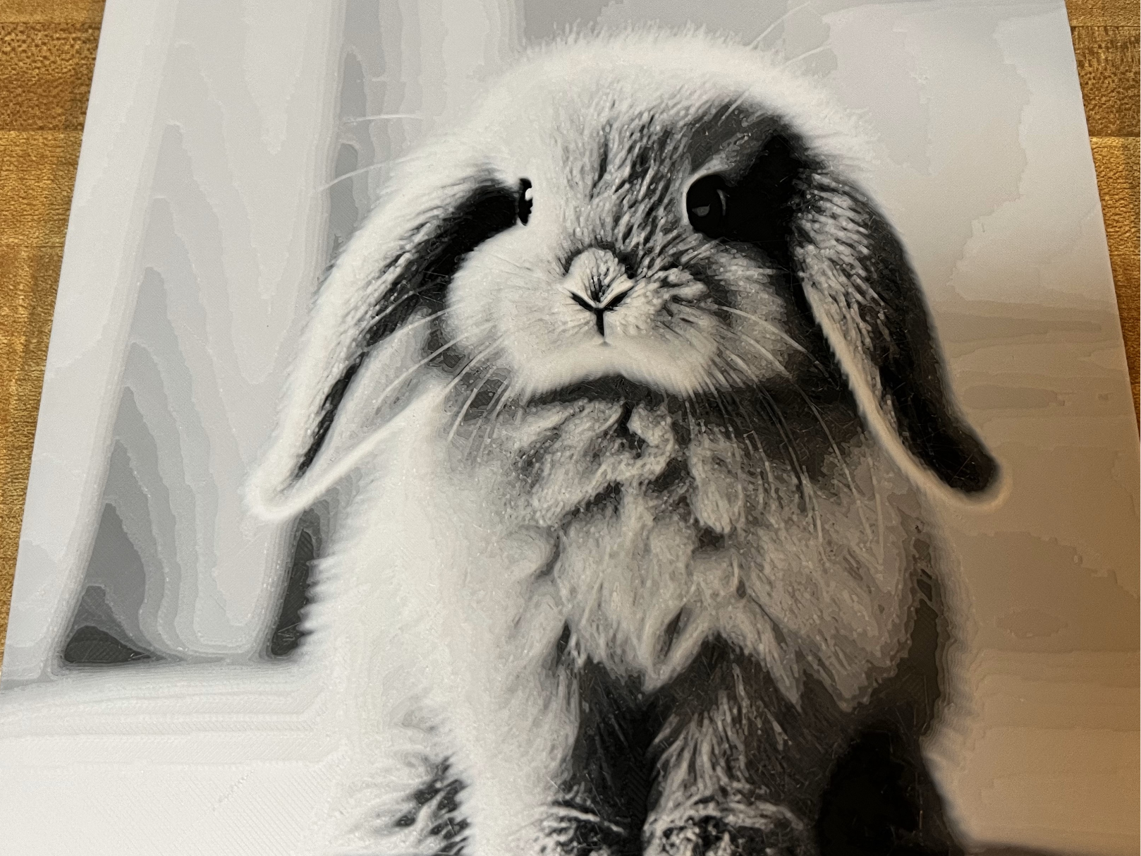 Floppy Eared Bunny