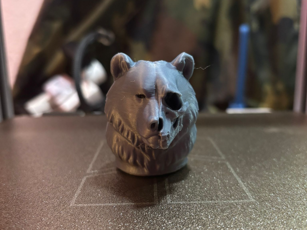 Bear Skull Face– Testa di Orso Half Skull