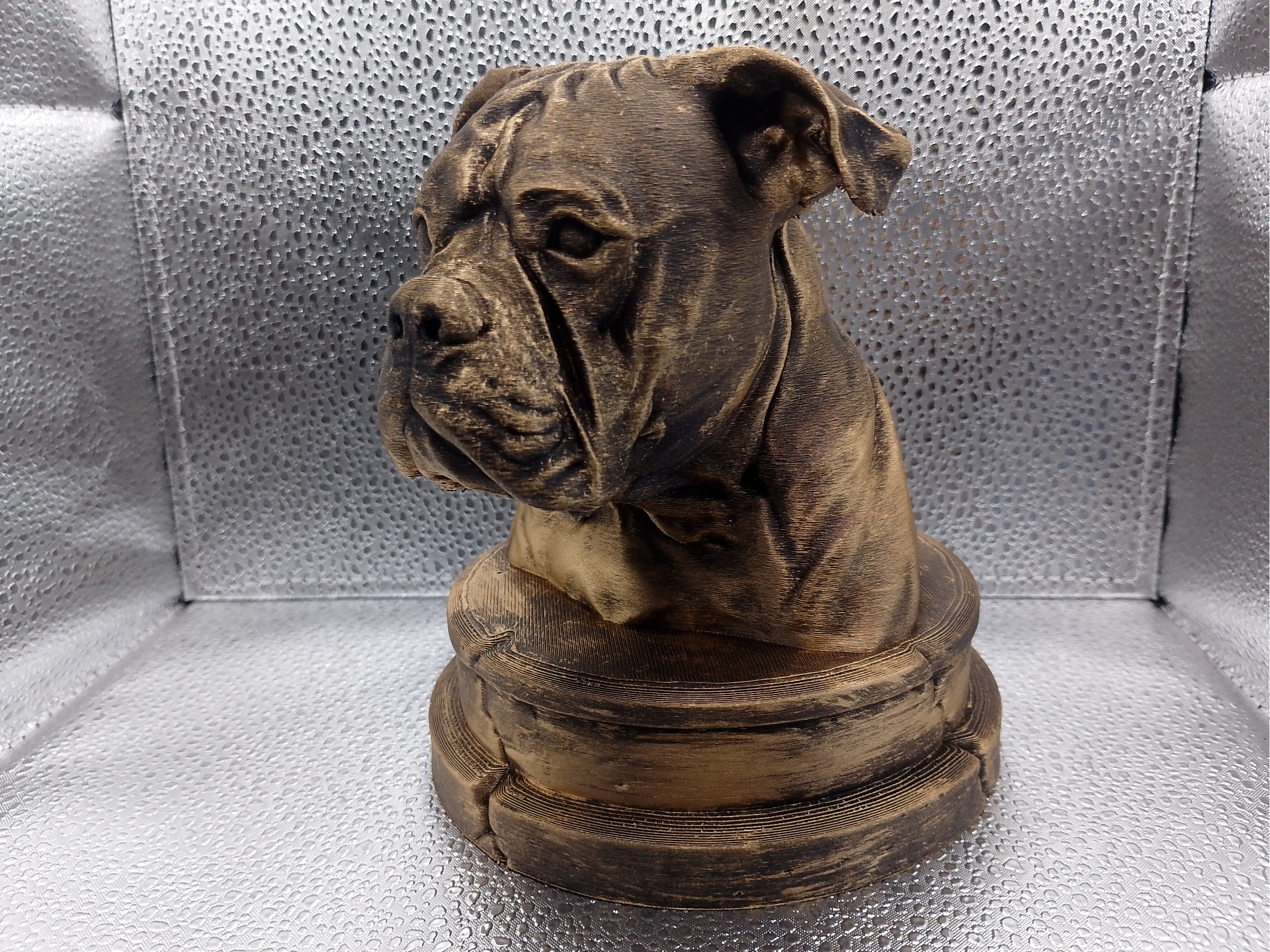 American Bulldog Bust