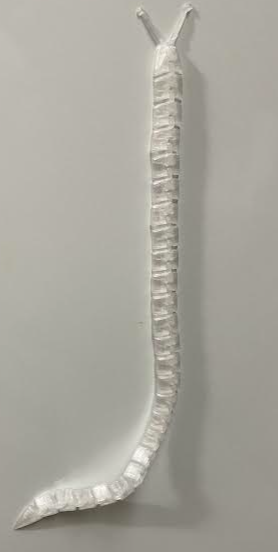 Magnetic Really Long articulated Slug