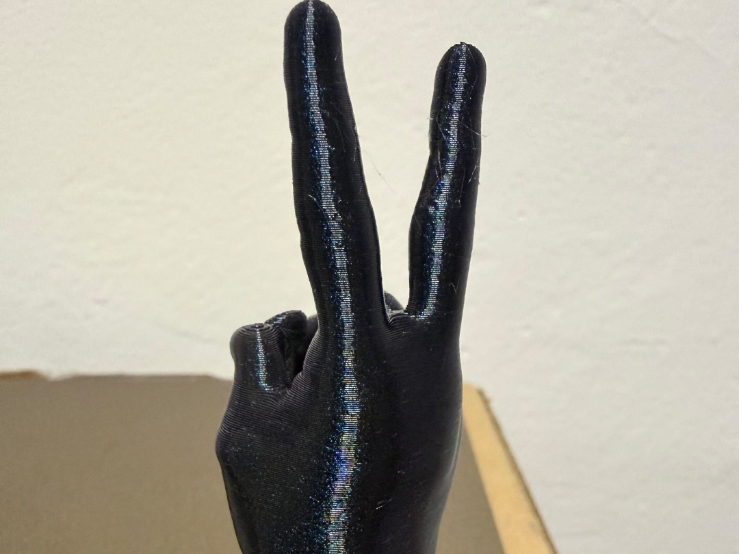 Peace sign hand
