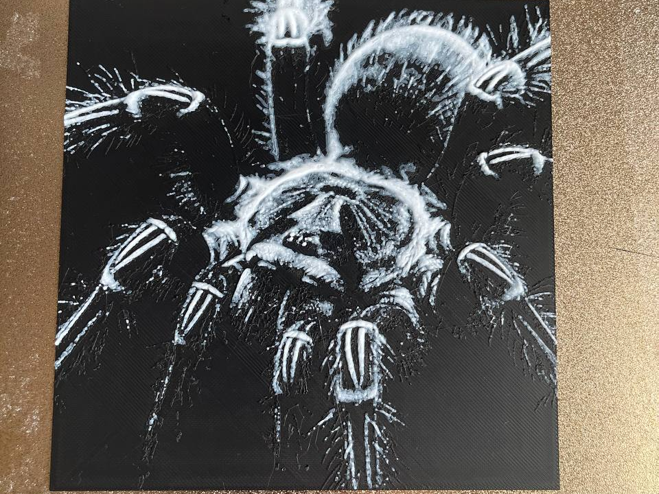 Tarantula - HueForge
