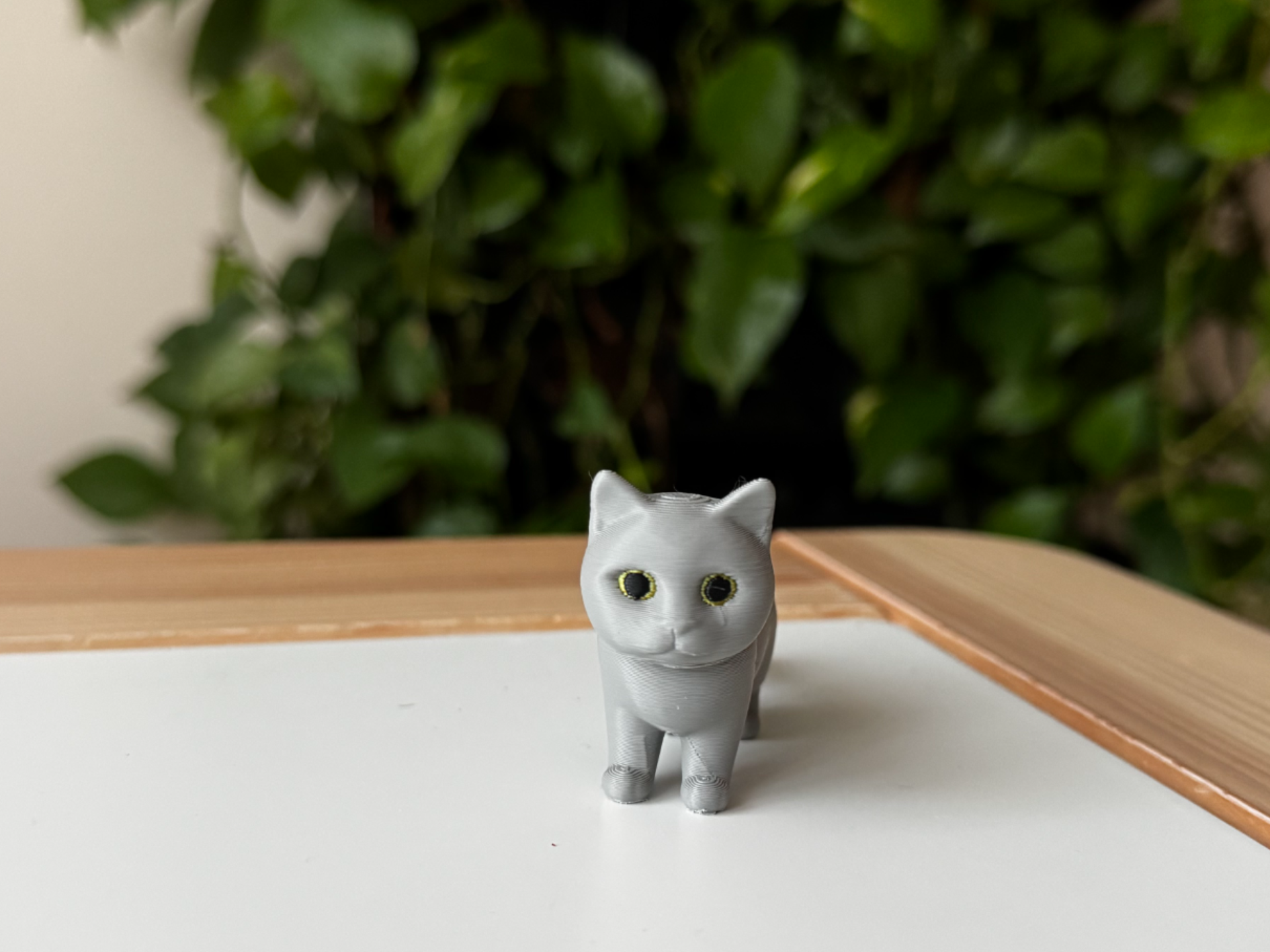 British cat