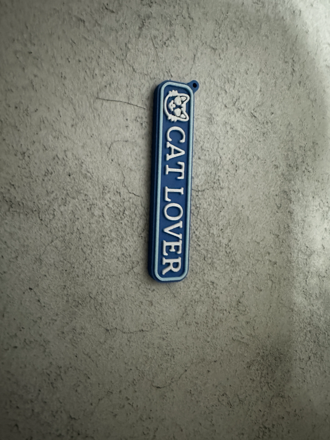 Cat Lover Keyring Bagtag