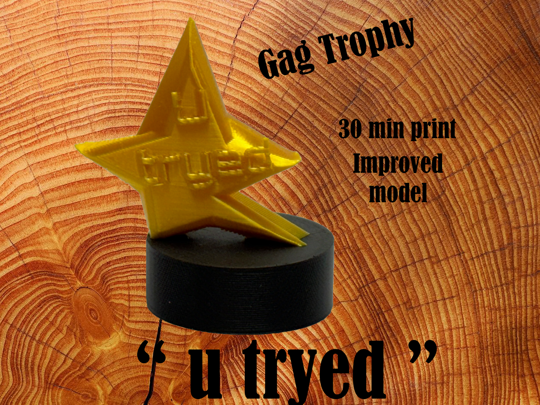 Funny Gag Trophy 'u tryed'