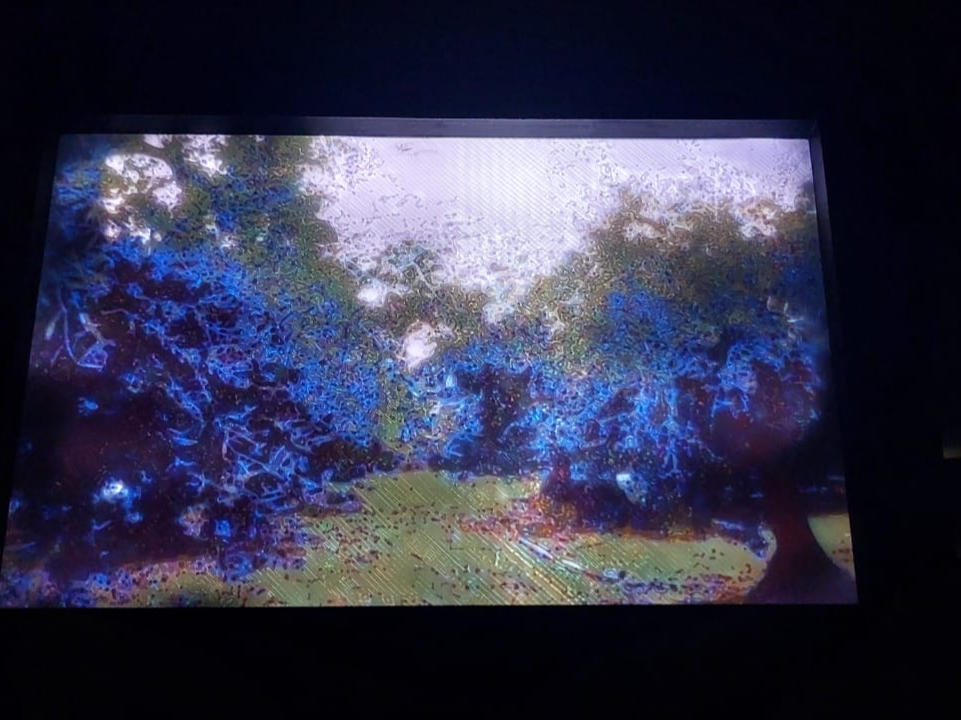 litophania alberi di ulivo