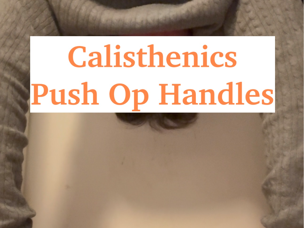 Calisthenics Push-Up Bars - Strong