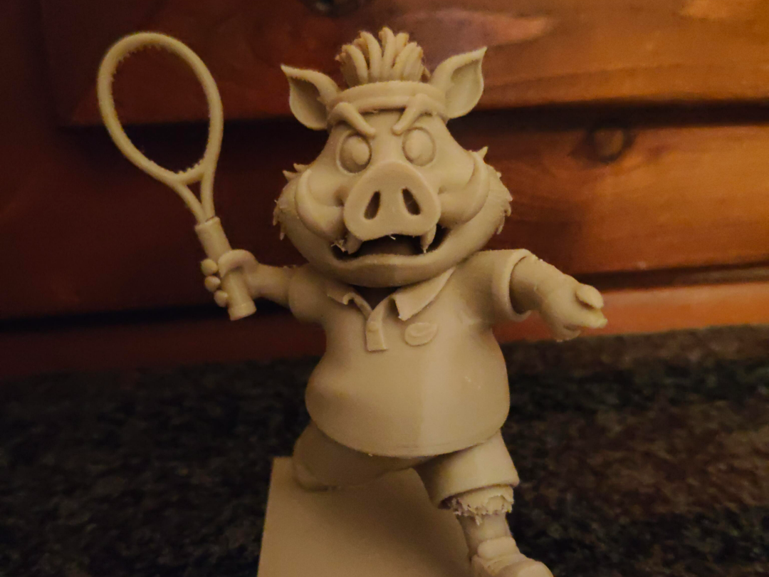 Cinghiale Tennista