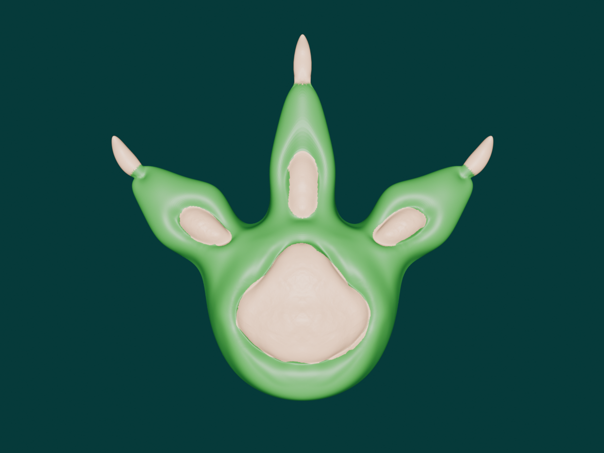 dino foot magnetic
