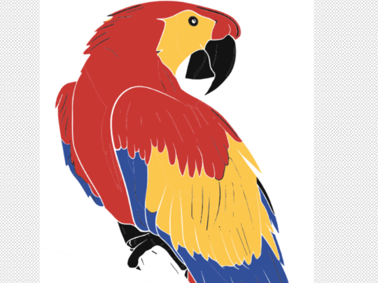 GUACAMAYO ROJO