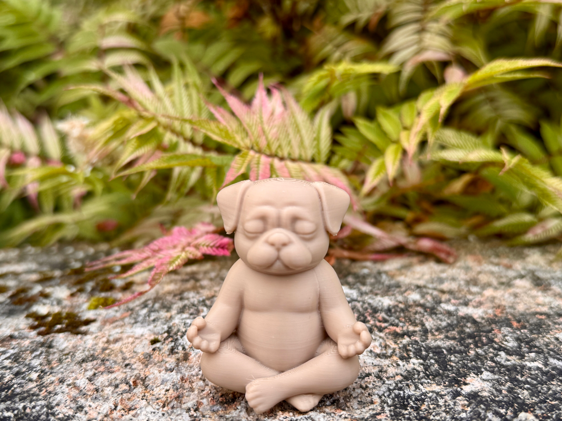 Meditating Pug