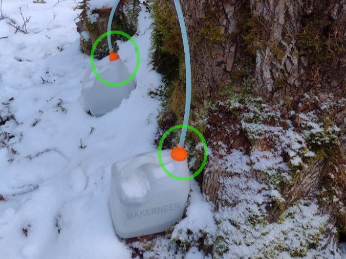 Maple Sap Collecting - 5/16 Hose to 1 Gallon Jug