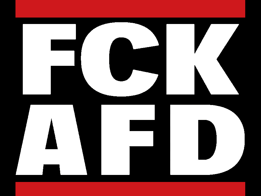 RUN DMC meme FCK AFD