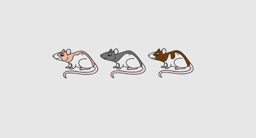 Cute Rat keychains / set of 3