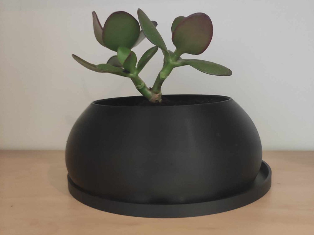 plant pot