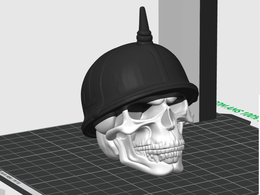 Caveira de Capacete