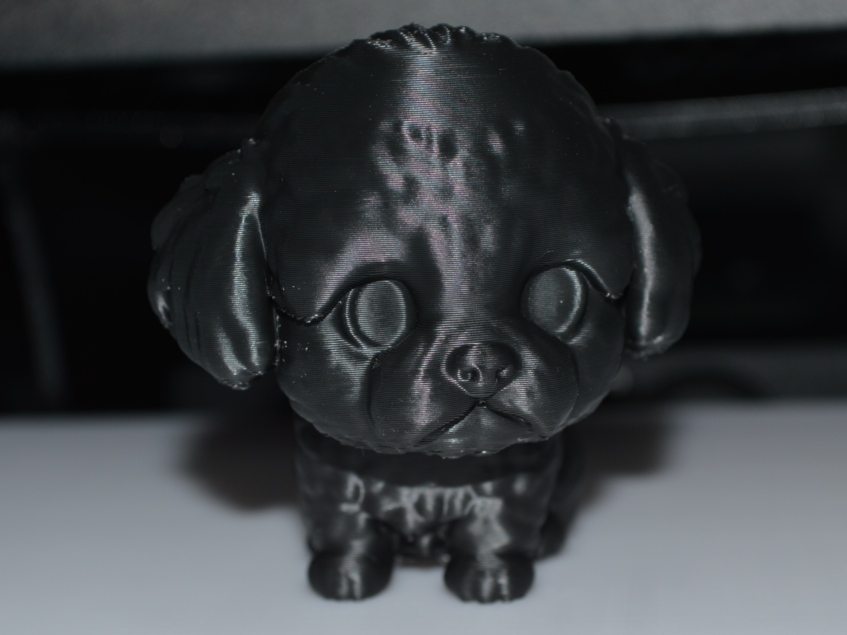 Cute Dog