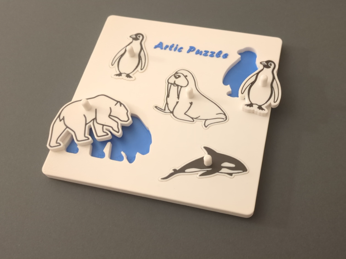 Artic Puzzle