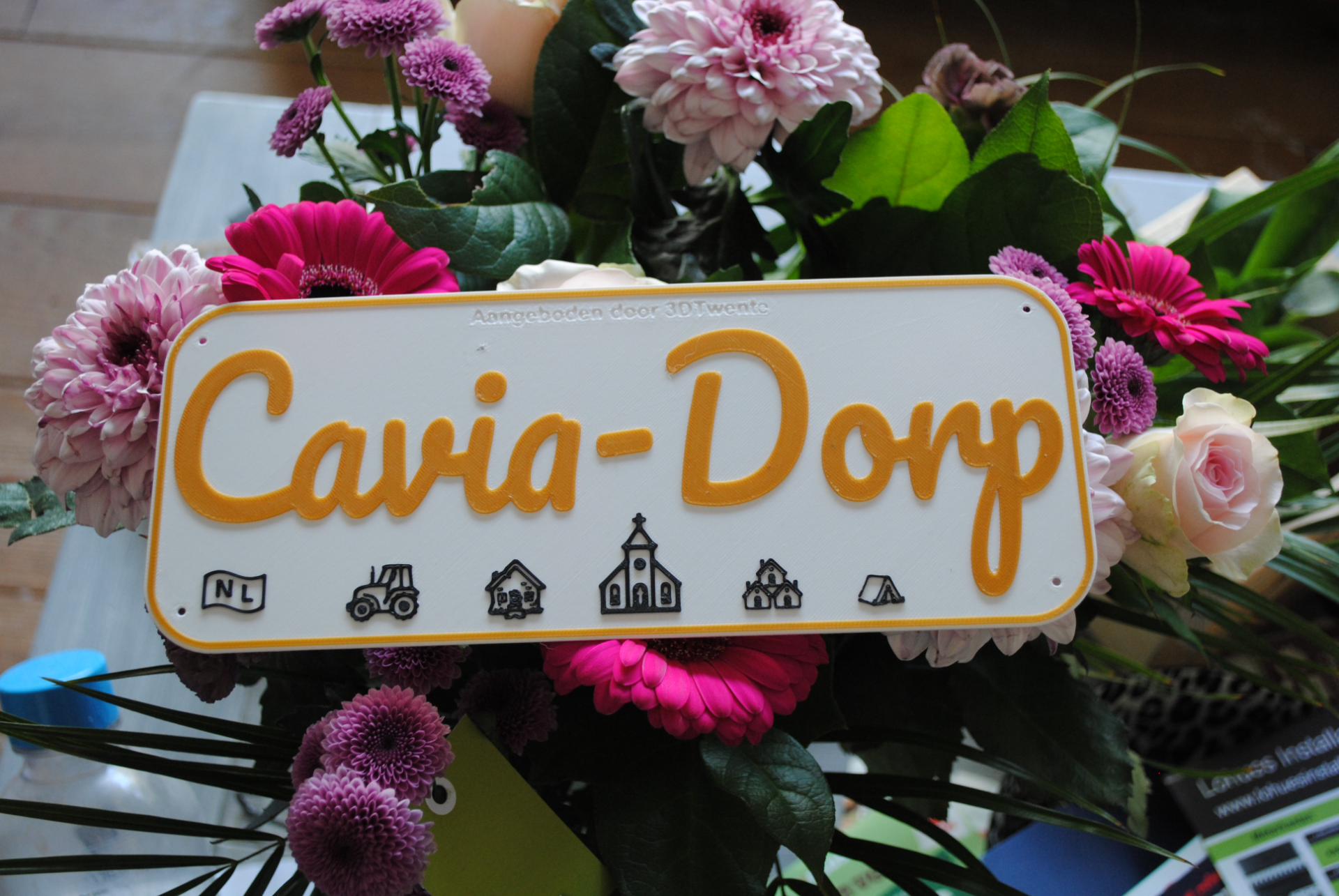 Cavia-Dorp