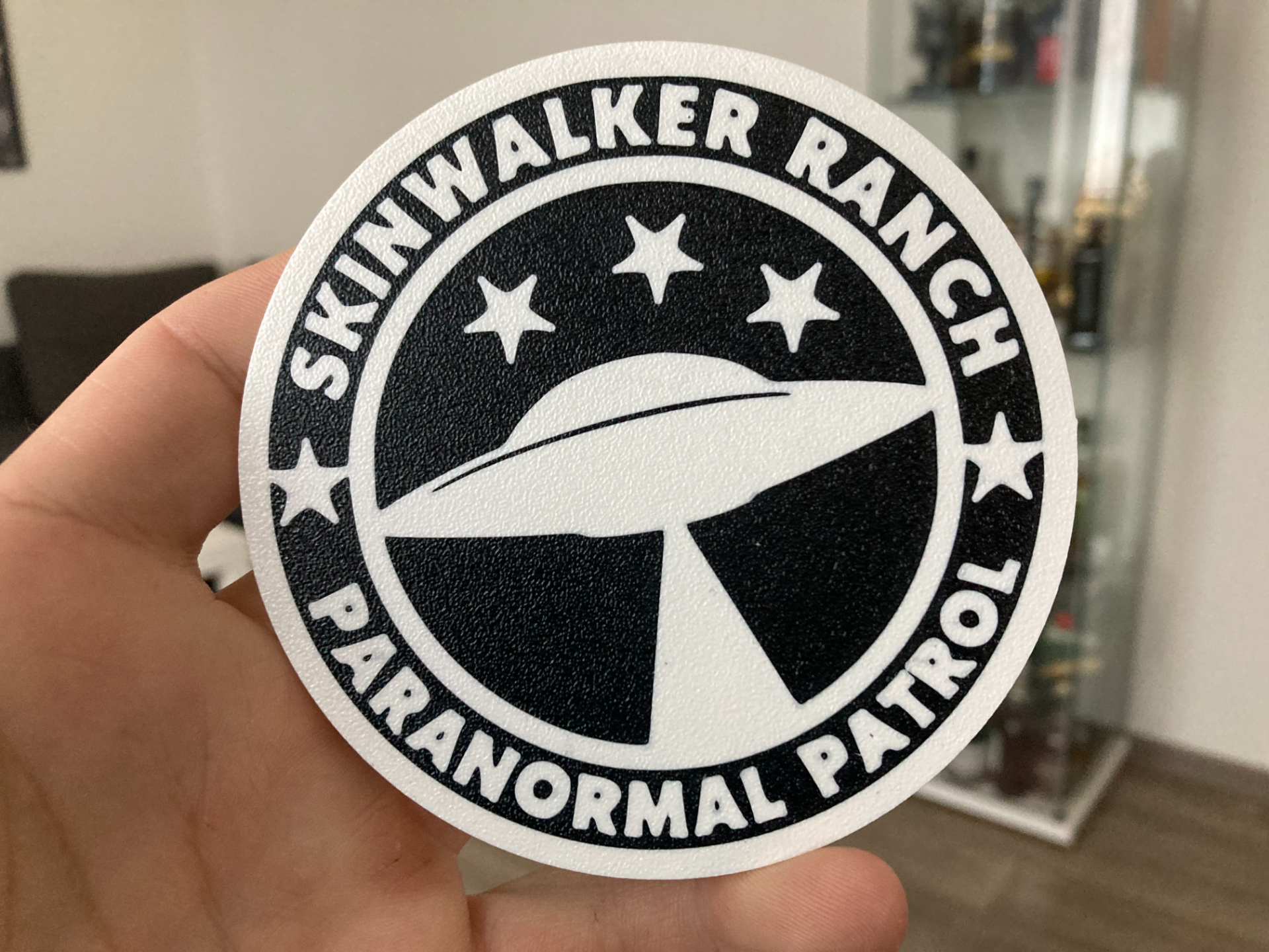 Paranormal patrol coaster