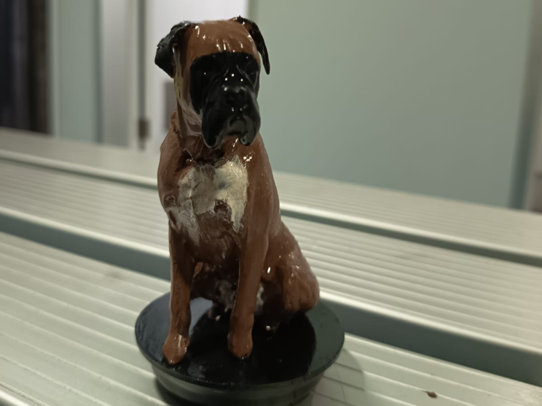 cane razza boxer