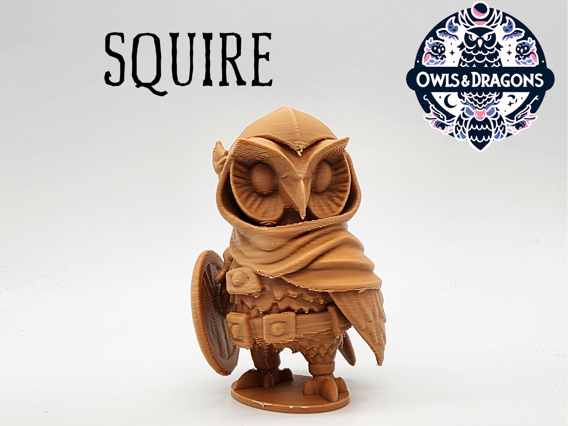 The Squire - Owls & Dragons