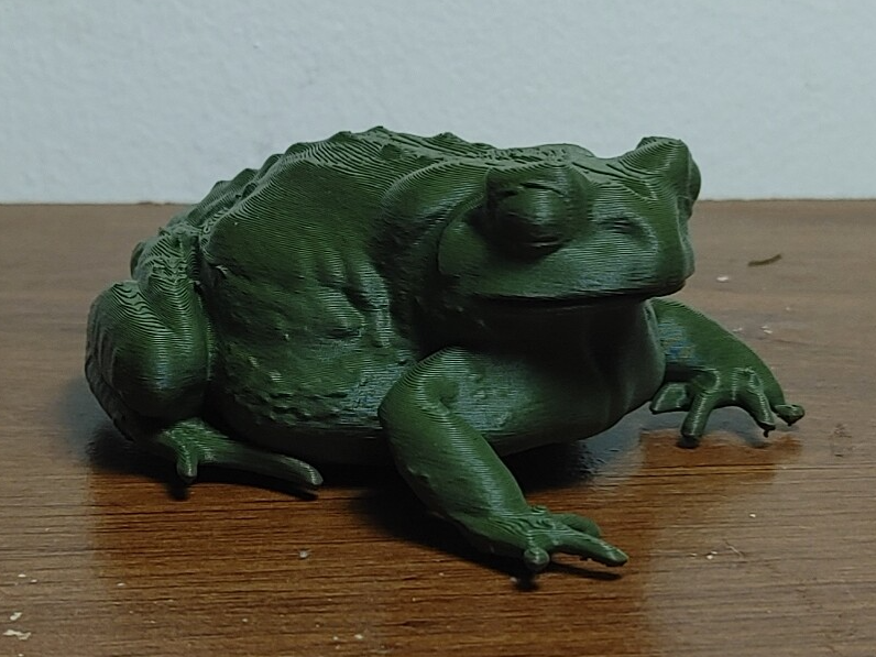 Toad