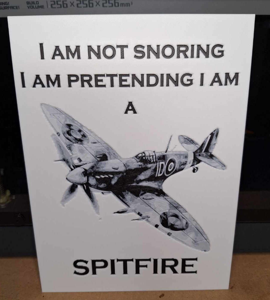 Funny - Snoring - Spitfire hueforge - Greyscale