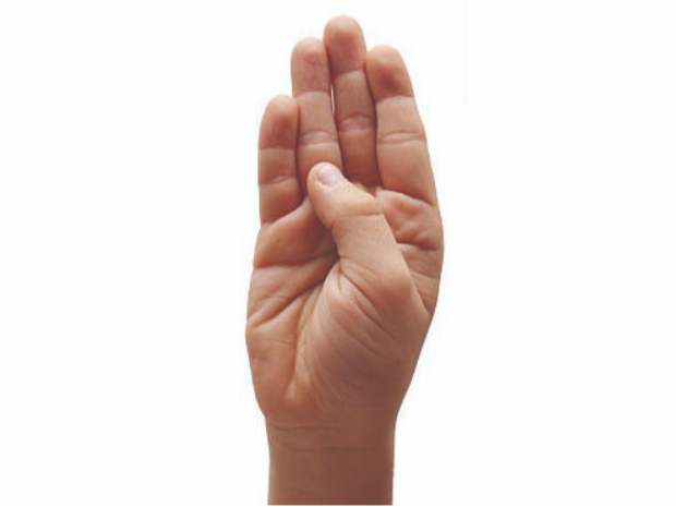 ASL letter B