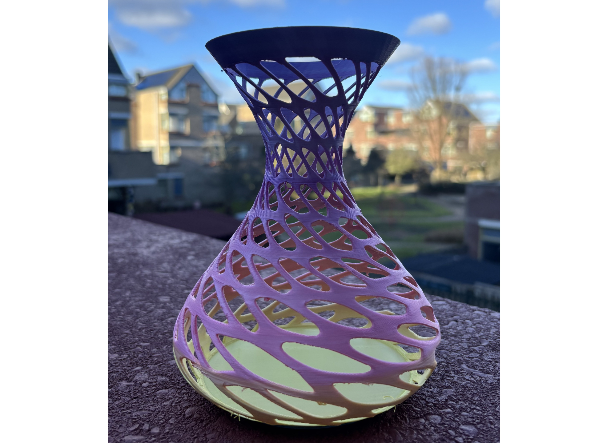 Wendy's spiral vase