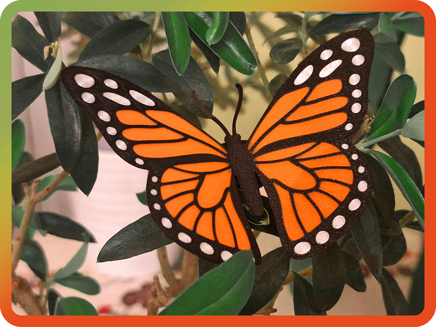 Monarch Butterfly