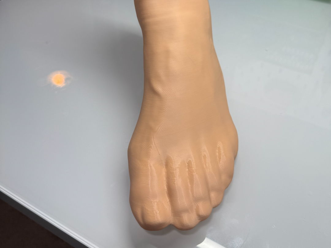 Human Left Foot Scan