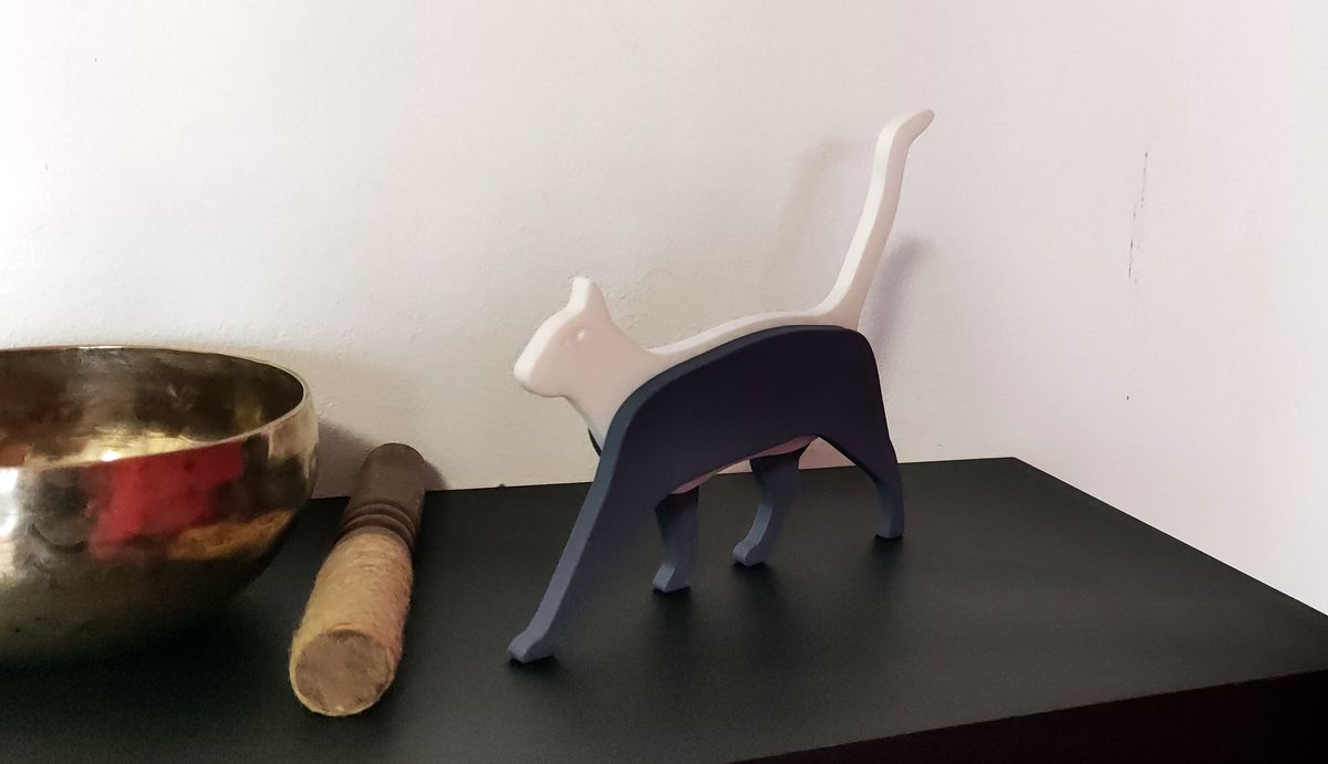 Cat - Gatto