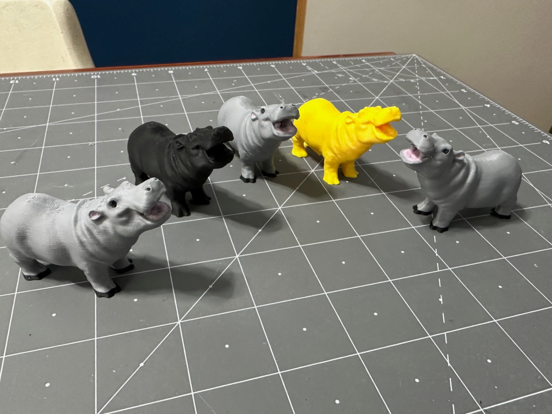 Miniature Hippopotamus