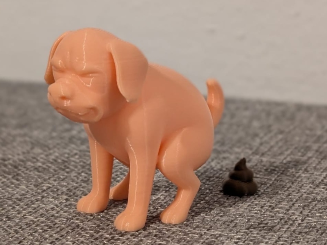 The Pooping Dog Brother
