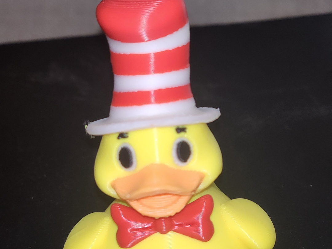Duck In A Hat
