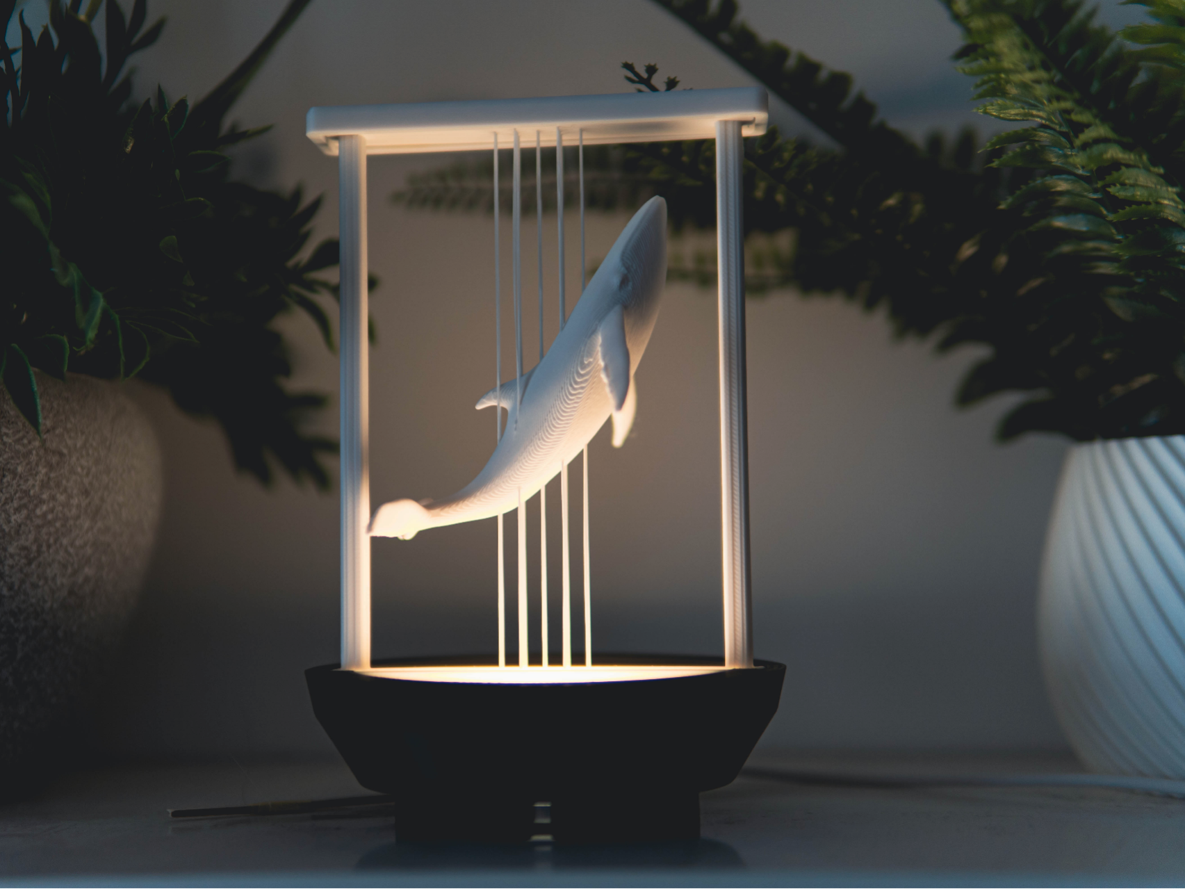 The Whale - Suspended String Lamp